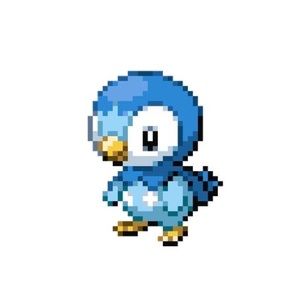 Meet your Posher, Eva